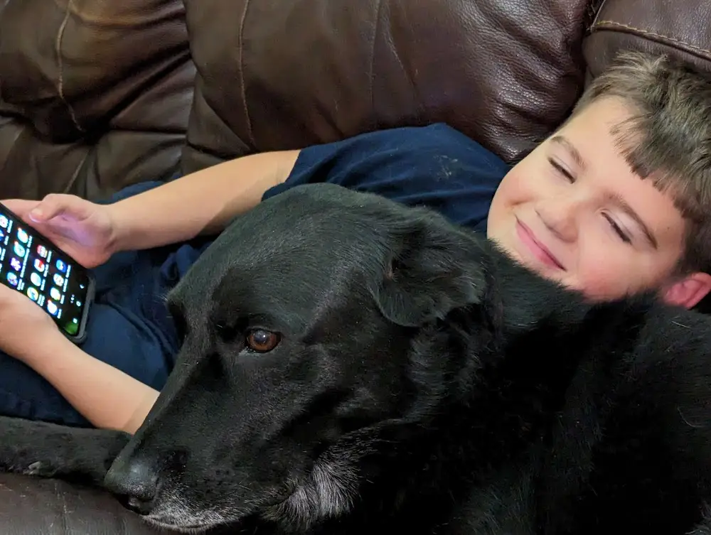 Protecting children and family under Missouri inheritance laws